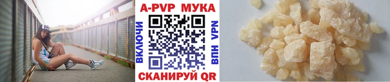 APVP СК  Коряжма 