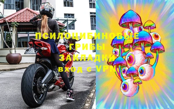 индика Алексеевка