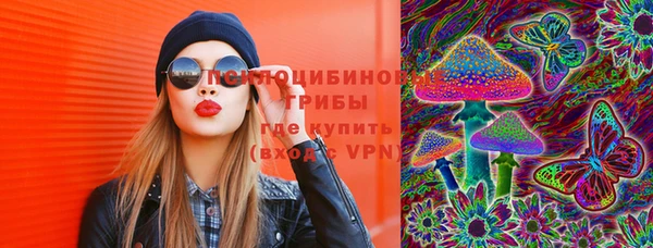 индика Алексеевка