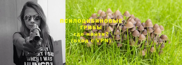 индика Алексеевка