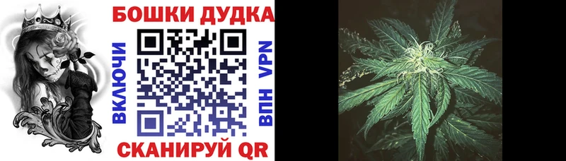 KRAKEN   Коряжма  МАРИХУАНА MAZAR 